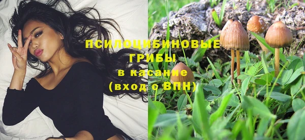2c-b Алзамай