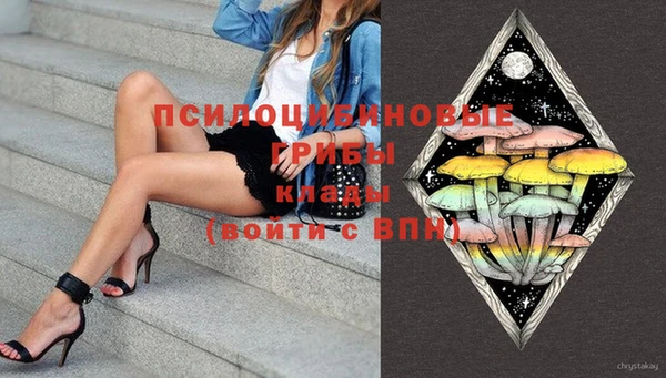 2c-b Алзамай
